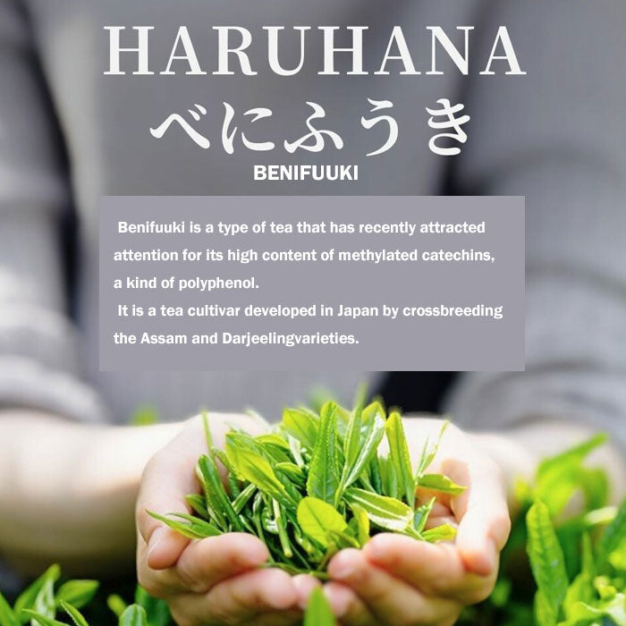 HARUHANA Benifuuki Green Tea Powder (Deep-Steamed Leaf) — 50 g (1.76 oz)