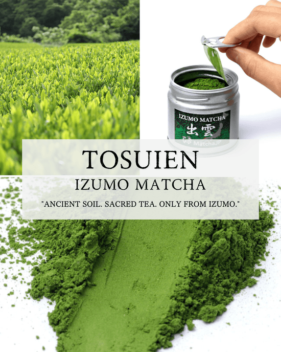 IZUMO MATCHA - IZUMO SEICHA – Premium Matcha from Izumo, Shimane | MatchaJP - MatchaJP