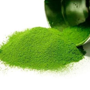 Matcha sieve - MatchaJP