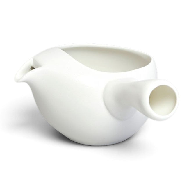 Kyusu Teapot White – Mino Ware with Mesh Filter | Made in Japan