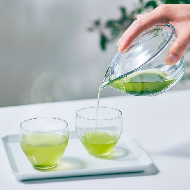 CHASTA – Tritan Japanese Kyusu Teapot (Unbreakable & Crystal-Clear) Modern, durable, and beautifully made in Japan.