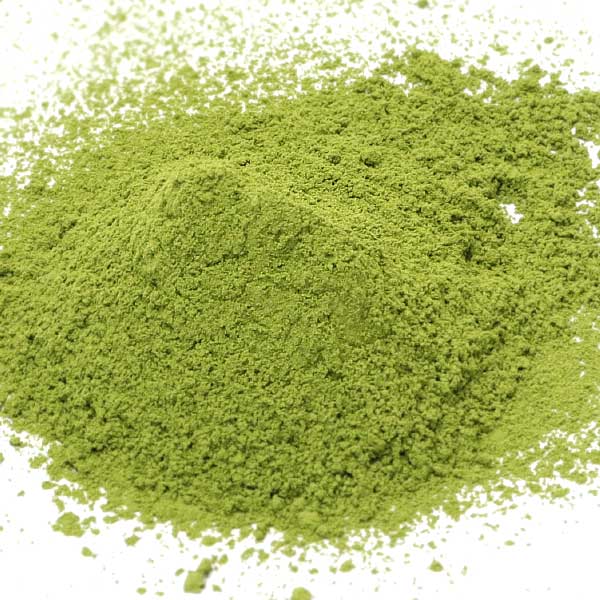 Matcha green tea powder for food Premium Culinary Grade1 1kg pack - MatchaJP