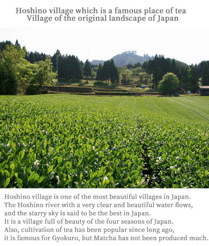 Matcha tea powder Culinary grade Hoshino-Seichaen「SAZANKA」 1000g pack - MatchaJP