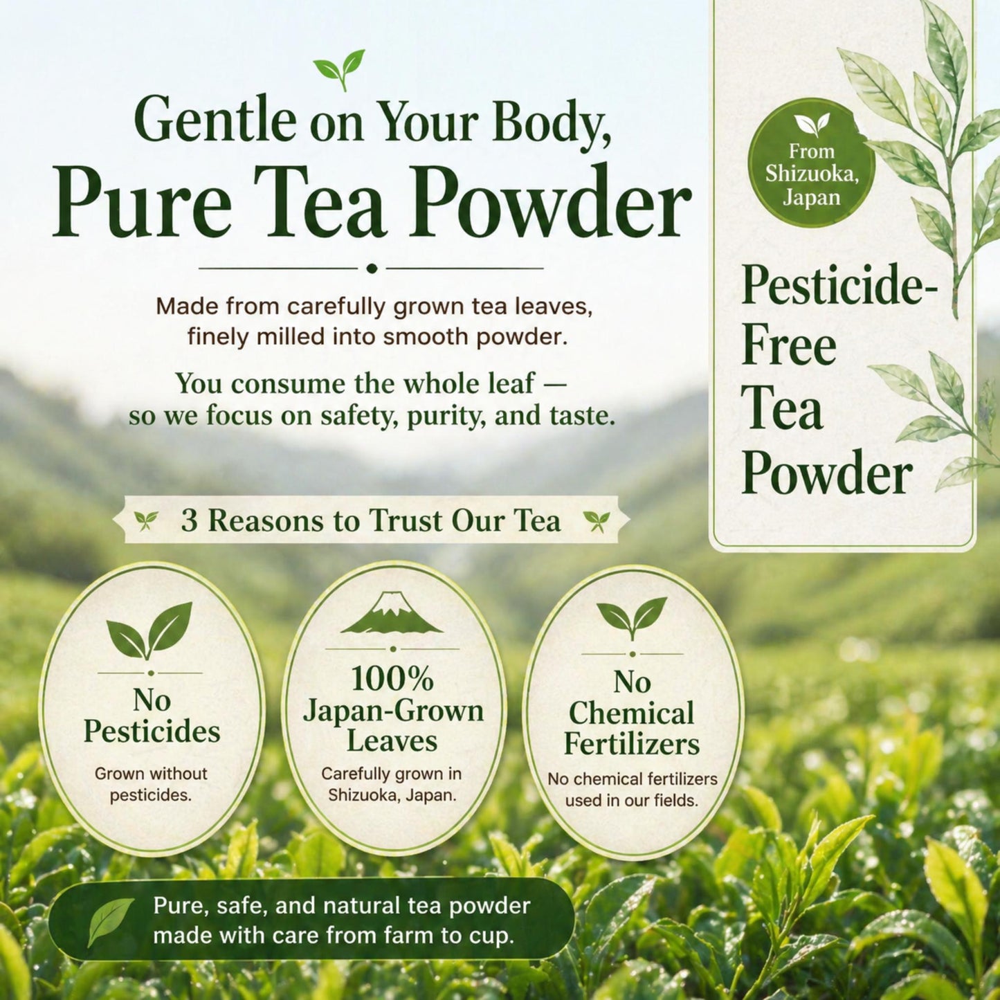 Hojicha Extra Fine Powder 225g (7.94 oz) – Japanese Roasted Green Tea for Latte & Baking