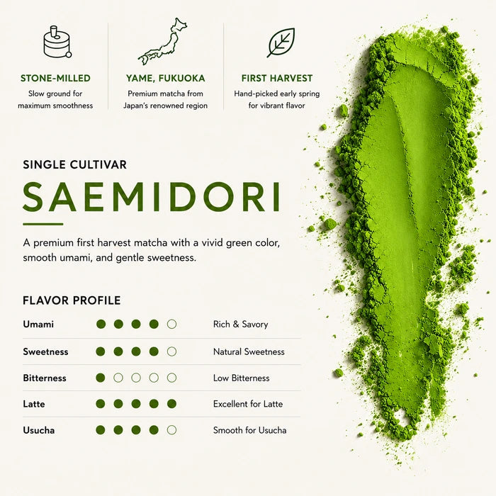 Japanese Ceremonial Matcha 100g (3.53 oz) – Yame Saemidori (Single-Cultivar, First Harvest) | MatchaJP