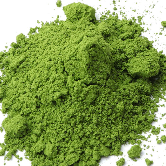 Comprar ONLINE Te Matcha Polvo (SHIZUOKA) 1kg