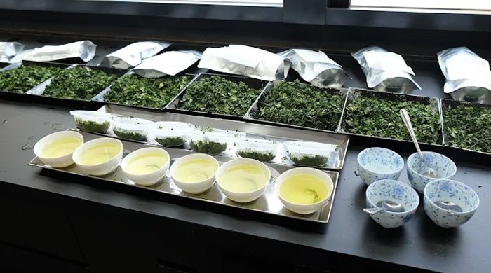 Uji Organic Matcha ROKUBEI “SUIUN” 30g Tin | Premium Ceremonial - Grade Japanese Green Tea - MatchaJP