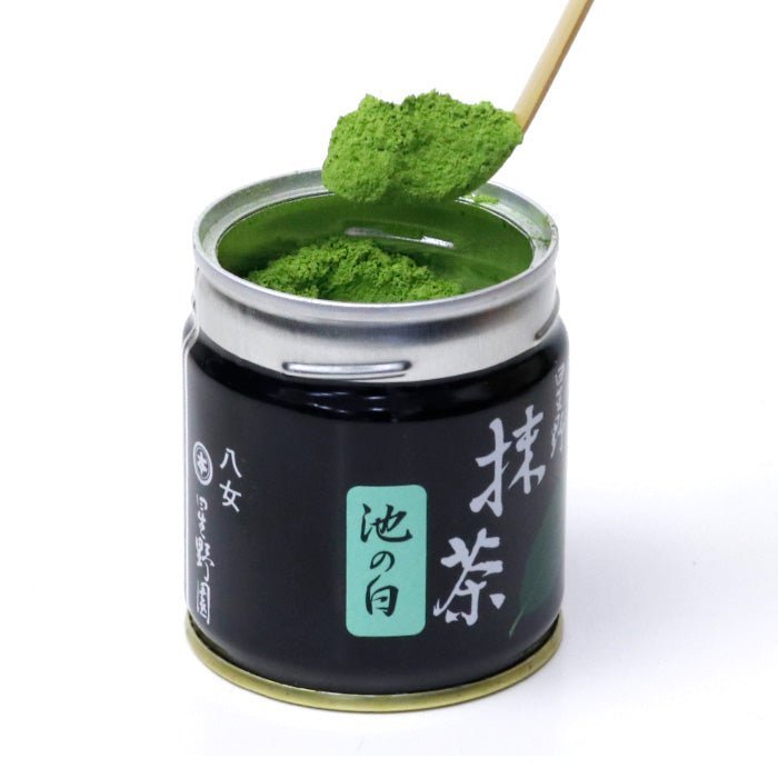 Matcha green tea powder ceremonial grade Hoshino - Seichaen「IKE - NO - SHIRO」40g - MatchaJP