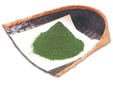 Matcha tea powder for food Premium Culinary Grade B 1kg pack - MatchaJP